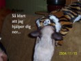/album/bildgalleri/a100-0321-jag-hjalper-dig-jpg/